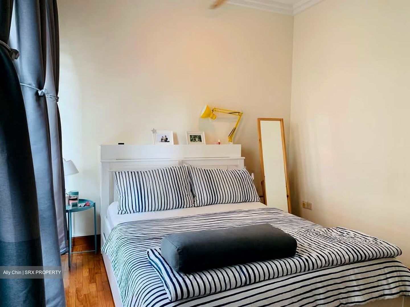 Thomson Euro-asia (D11), Condominium #568736181
